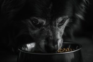 Cuidados de saúde e nutrição