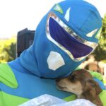 Zadrigman o herói misterioso dos animais