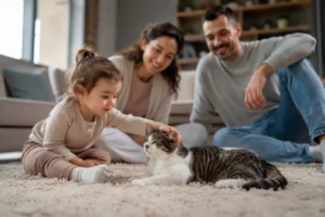Convivencia de gatos e crianças