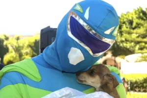 heroi que resgata animais