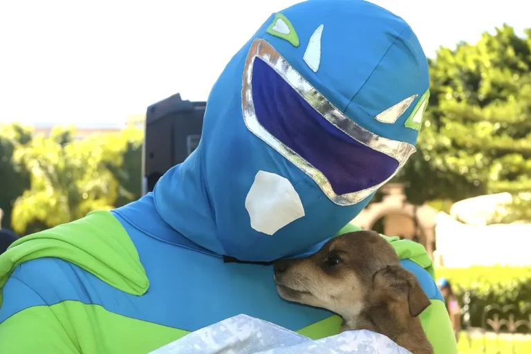 heroi que resgata animais