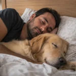 Cão pode dormir na cama com seu tutor?