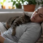 Gatos gostam de dormir com seus tutores.