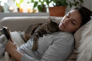 Gatos gostam de dormir com seus tutores.