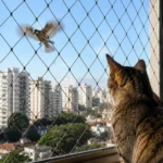 Prevenção é o melhor remédio contra quedas de gatos das janelas.