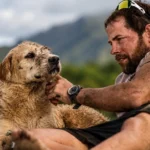 Cão Arthur, que percorreu 700 km e se tornou símbolo mundial de lealdade.