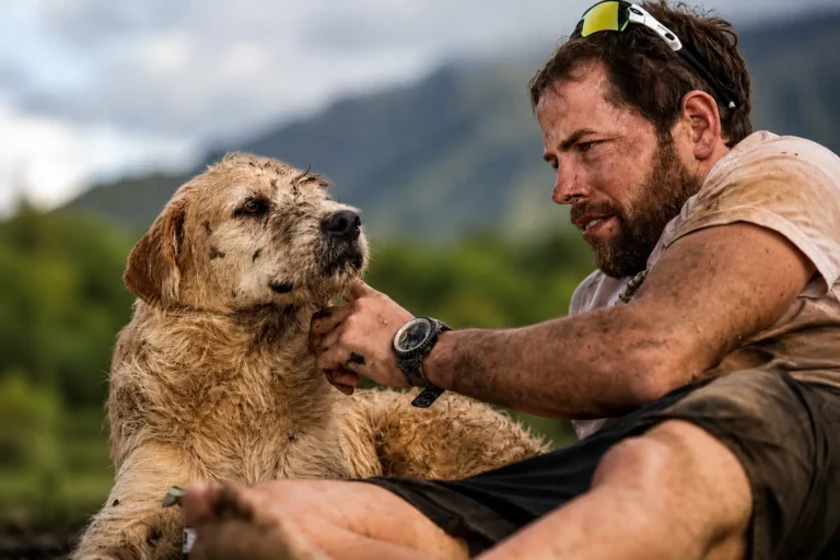 Cão Arthur, que percorreu 700 km e se tornou símbolo mundial de lealdade.