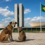 Estatuto de Cães e Gatos tramita no Senado.