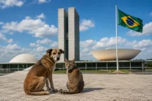 Estatuto de Cães e Gatos tramita no Senado.